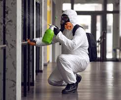 Best Environmental Consulting for Mold Prevention  in Mcsherrystown, PA